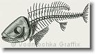 Fish Bones - Embroidery Design Sample - Vodmochka Graffix Custom Embroidery Digitizing Services * 500 x 273 * (32KB)