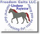 Freedom Gaits  - Embroidery Design Sample - Vodmochka Graffix Custom Embroidery Digitizing Services * 500 x 425 * (46KB)