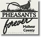 Pheasants Forever - Embroidery Design Sample - Vodmochka Graffix Custom Embroidery Digitizing Services * 500 x 454 * (58KB)