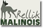 Rellik Malinois - Embroidery Design Sample - Vodmochka Graffix Custom Embroidery Digitizing Services * 500 x 324 * (32KB)