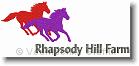 Rhapsody Hill Farm Horses - Embroidery Design Sample - Vodmochka Graffix Custom Embroidery Digitizing Services * 500 x 220 * (20KB)