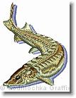 Sturgeon - Embroidery Design Sample - Vodmochka Graffix Custom Embroidery Digitizing Services * 402 x 529 * (38KB)