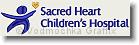 Sacred Heart Children's Hospital - Embroidery Design Sample - Vodmochka Graffix Custom Embroidery Digitizing Services * 500 x 142 * (18KB)