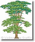 Tree - Embroidery Design Sample - Vodmochka Graffix Custom Embroidery Digitizing Services * 480 x 587 * (107KB)