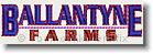 Ballantyne Farms - Embroidery Text Design Sample - Vodmochka Graffix Custom Embroidery Digitizing Services * 500 x 156 * (35KB)