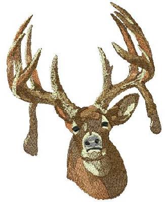 Custom Embroidery Digitizing Picture